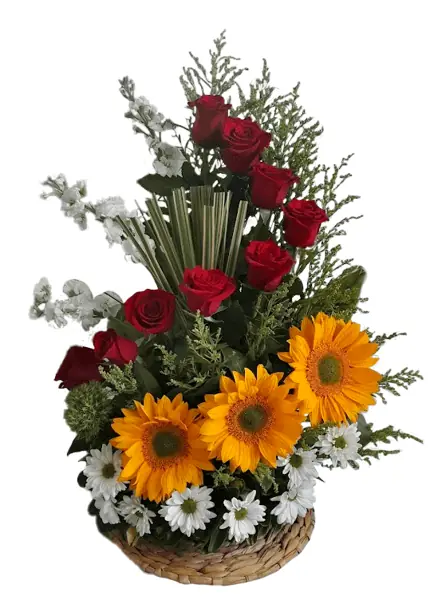 Girasoles y Rosas