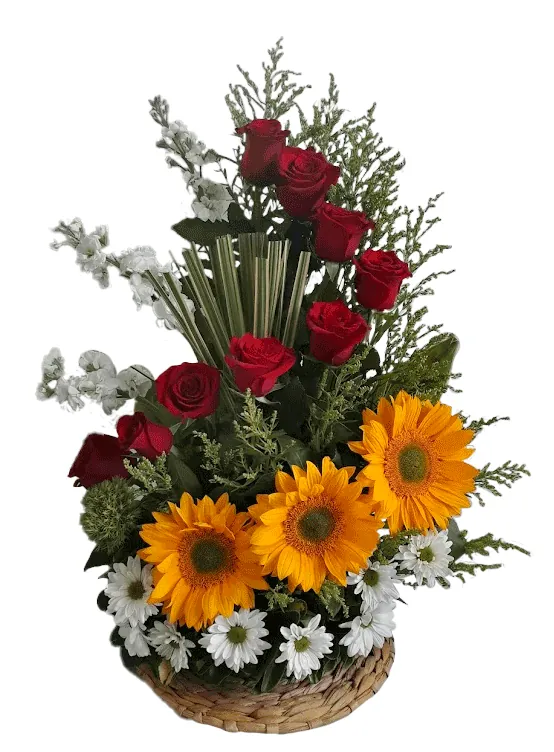 Girasoles y Rosas (foto 1)