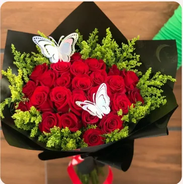 Mariposas de Pasión