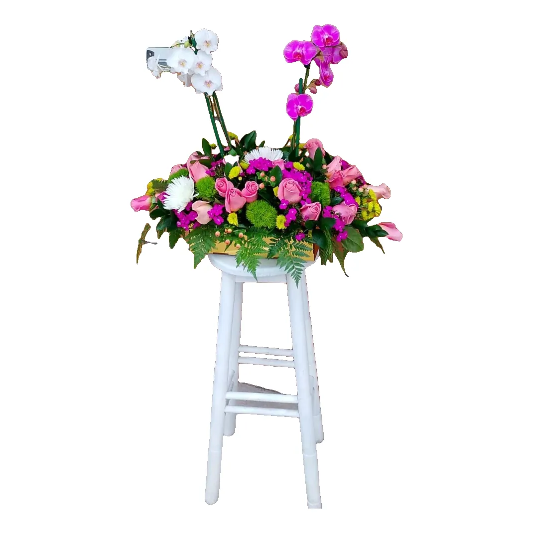 Orquídea Real (foto 1)