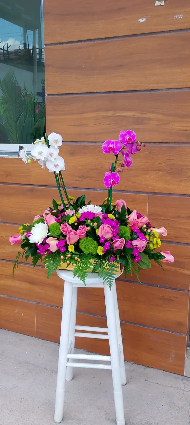 Orquídea Real (foto 2)
