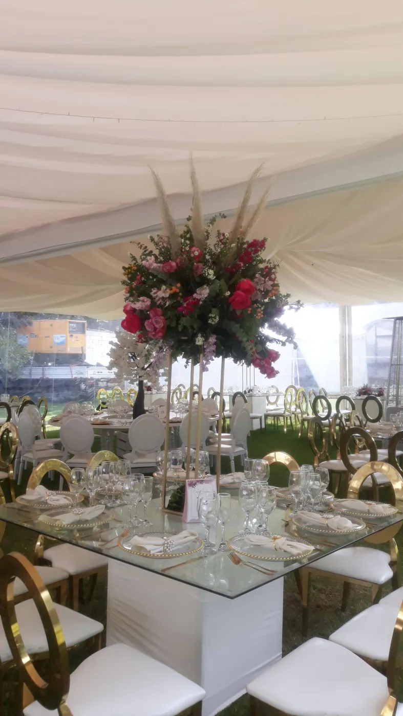 Pampas en carpa (foto 1)
