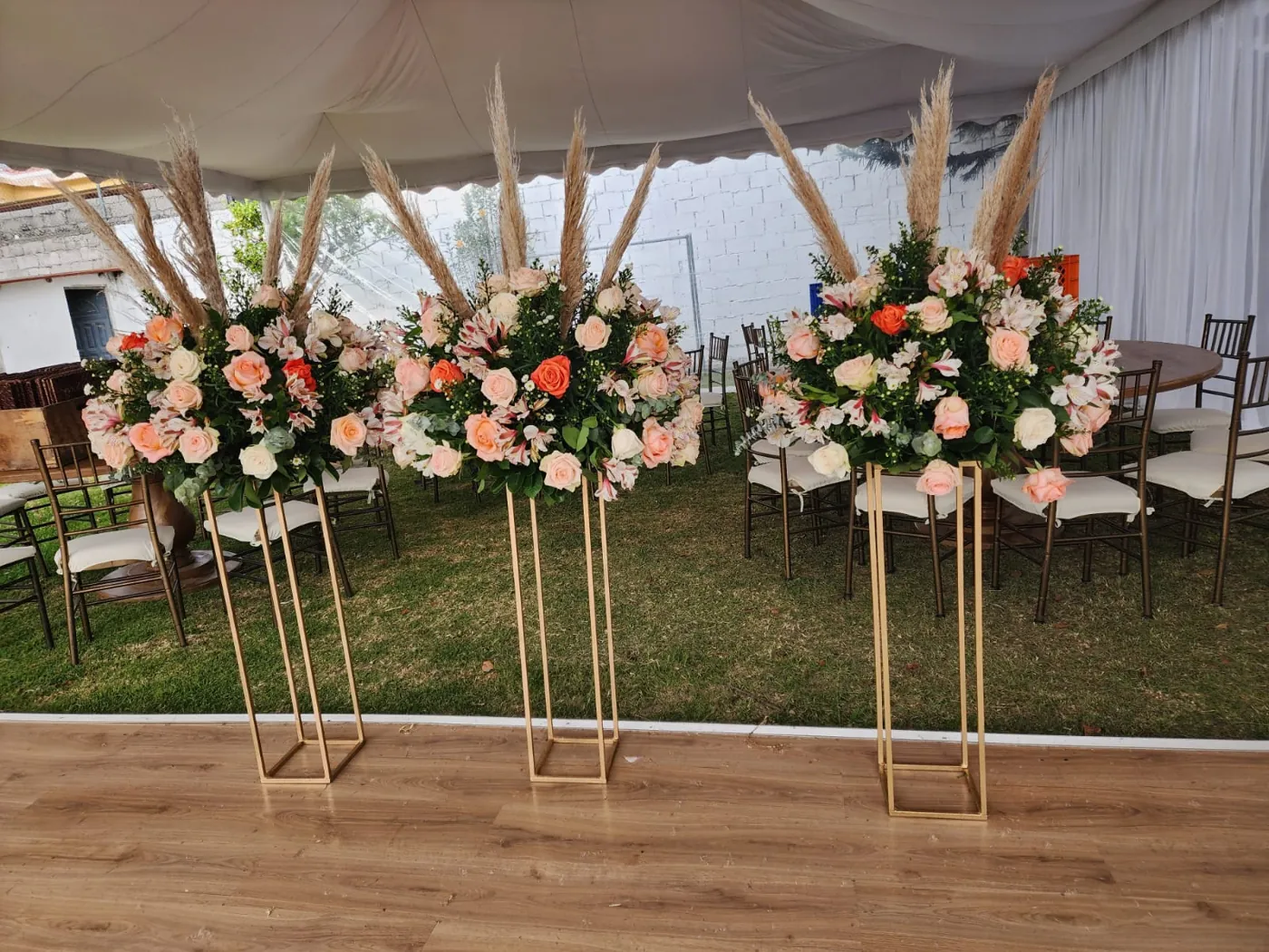 Pampas en carpa (foto 2)