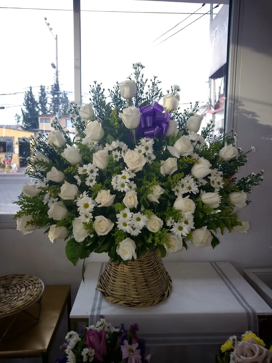 Paz Blanca (foto 2)