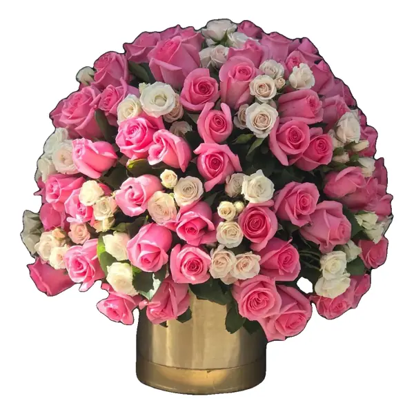 Rosa Imperial