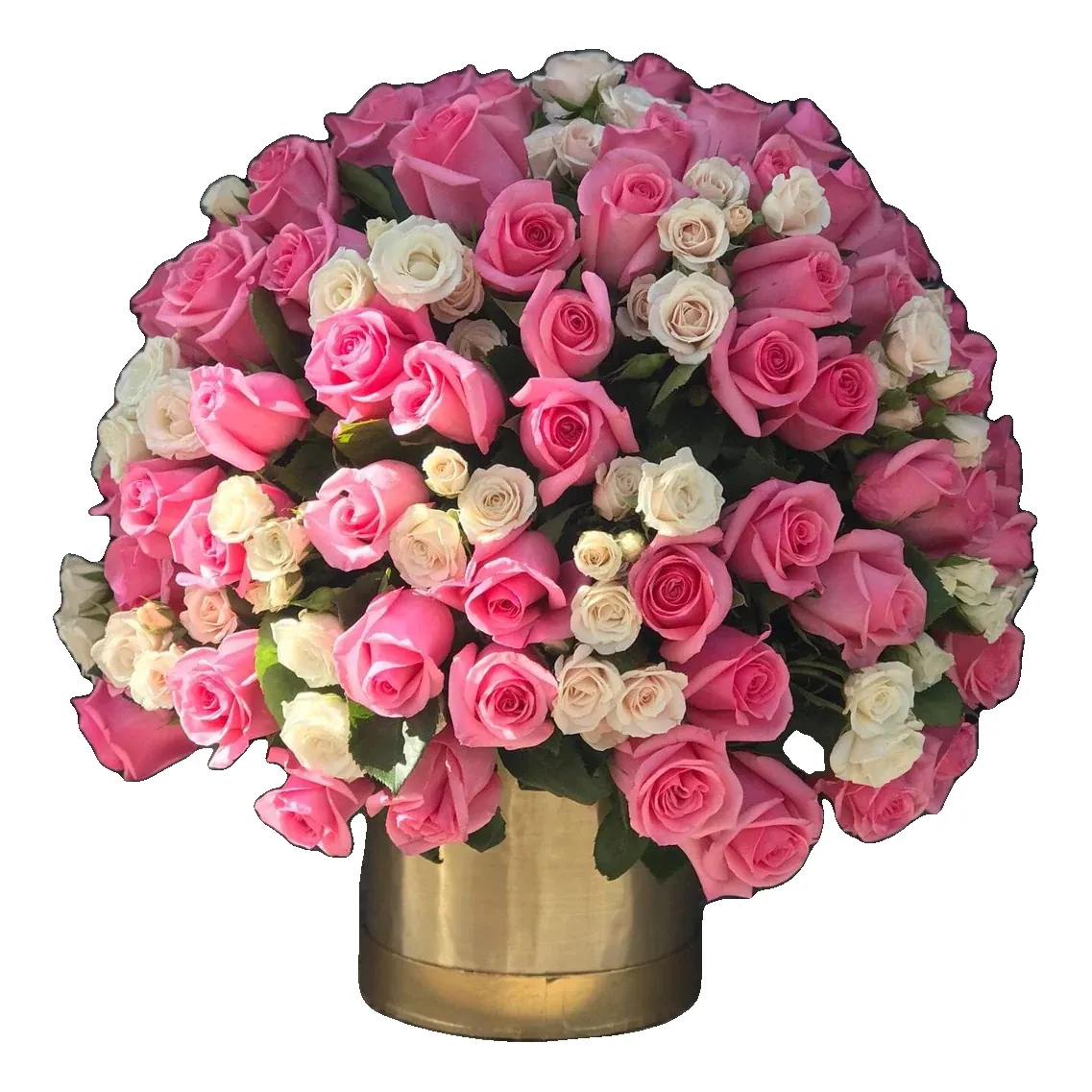 Rosa Imperial (foto 1)