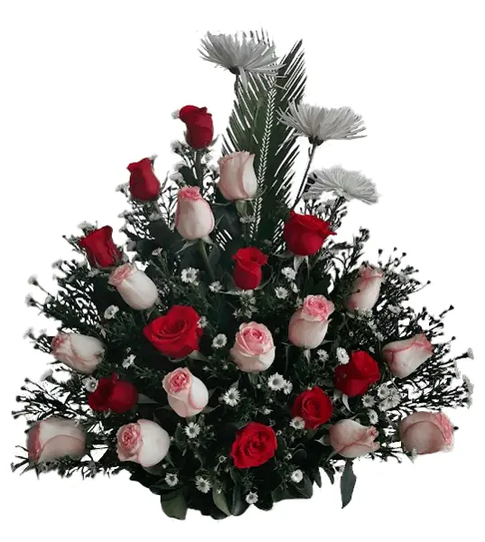 Rosa y Carmín