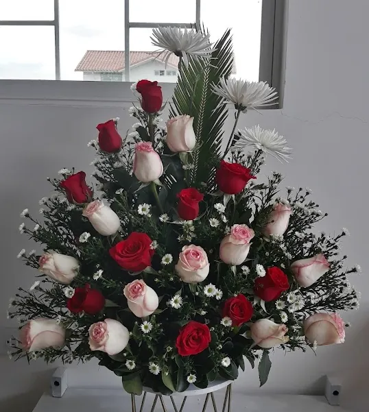 Rosa y Carmín (foto 2)